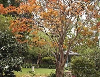 Strathburn Cottage Luxury Bed And Breakfast Bowral Exterior foto