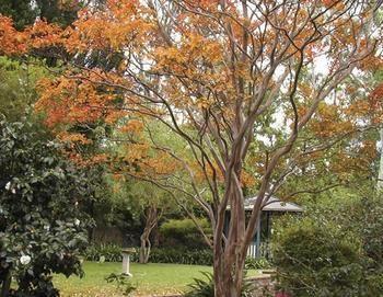 Strathburn Cottage Luxury Bed And Breakfast Bowral Exterior foto